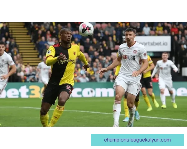 英超谢菲尔德联青训体系本赛季持续提升，年轻球员表现稳健